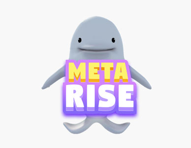 Metarise